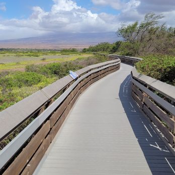 Keālia Coastal Boardwalk - Hiking Near Me Keālia Coastal Boardwalk - Hiking Near Me