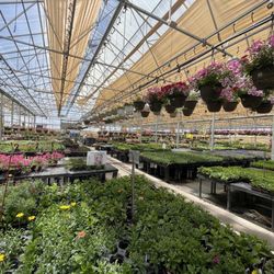 Ladybug Nursery