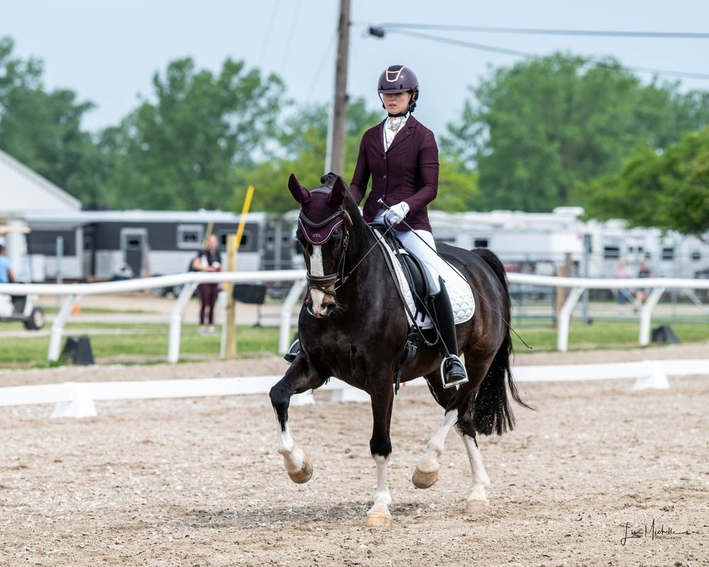 Varvel Sporthorses - equestrian in Bloomington, IN