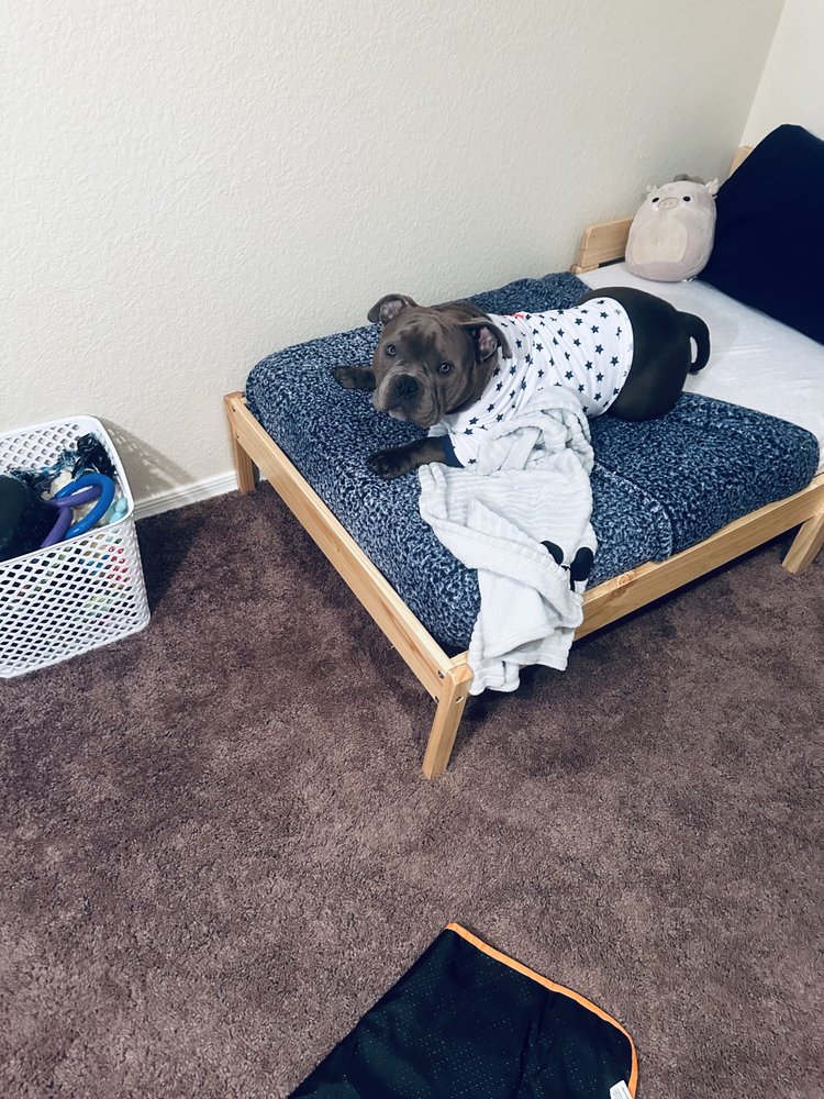 Sommer Larive - pet boarding facility in Tucson, AZ