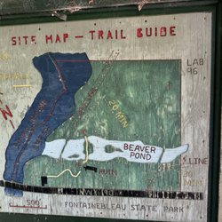 Northlake Nature Center - Site Map - Trail Guide
