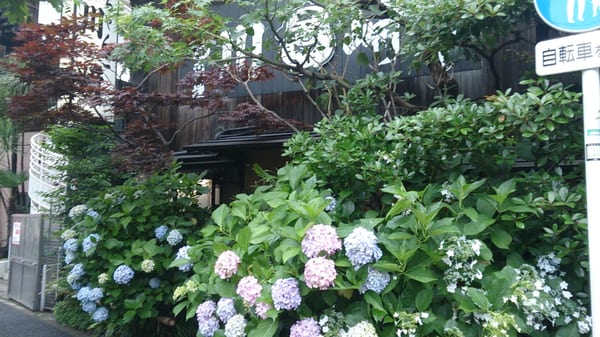 Chanko Kawasaki by null