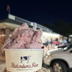 Richardson's Ice Cream - Raspberry Sorbet (non dairy)