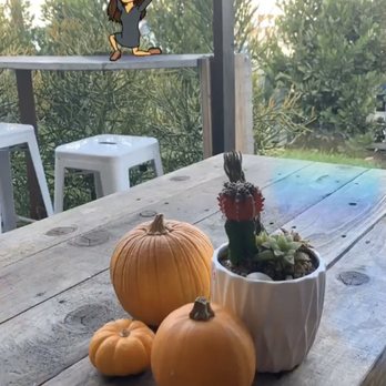 Intentional Coffee - A beautiful autumn centerpiece of pumpkins and cactus and succulents :) - Coffee & Tea Near Me - Fullerton, California Intentional Coffee - A beautiful autumn centerpiece of pumpkins and cactus and succulents :) - Coffee & Tea Near Me - Fullerton, California