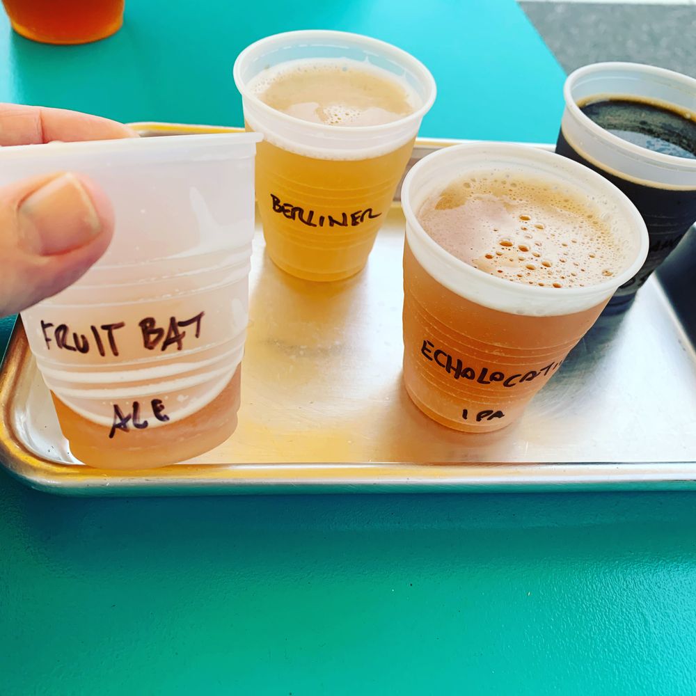 Blind Bat Brewery Bistro - Sampling some excellent beers - Brewpubs Near Me - Centerport, New York
