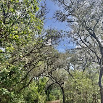 Fish Hawk Nature Preserve South - Hiking Near Me - Riverview, Florida