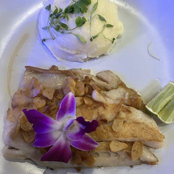 El Patio de Robertico Kendall - Corvina al ajillo - Sports Bars Near Me - Miami, Florida