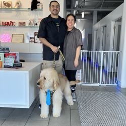 Animal House Pet Grooming - Animal House owners and our Hudson.