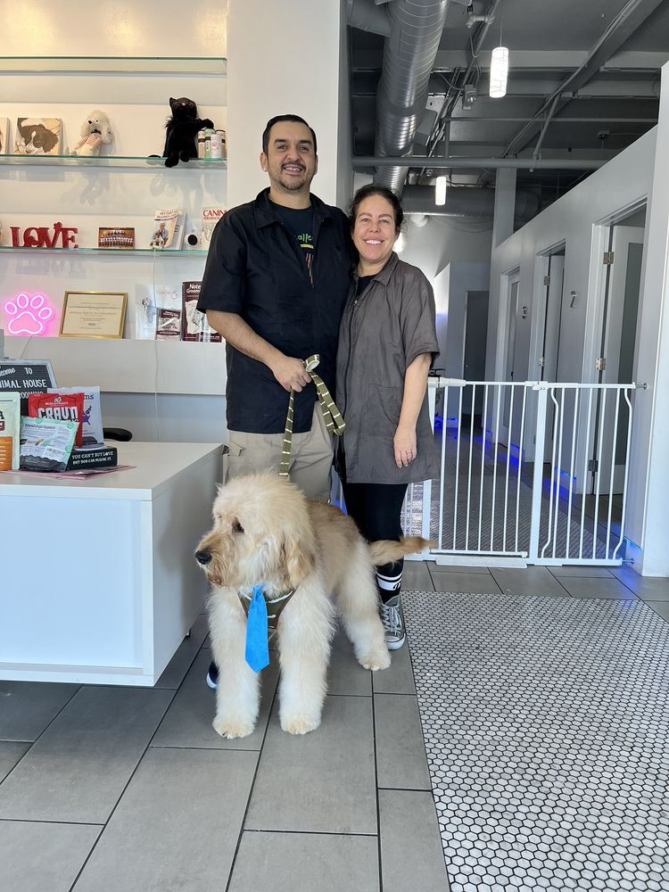 ANIMAL HOUSE PET GROOMING Updated October 2024 54 Photos & 25
