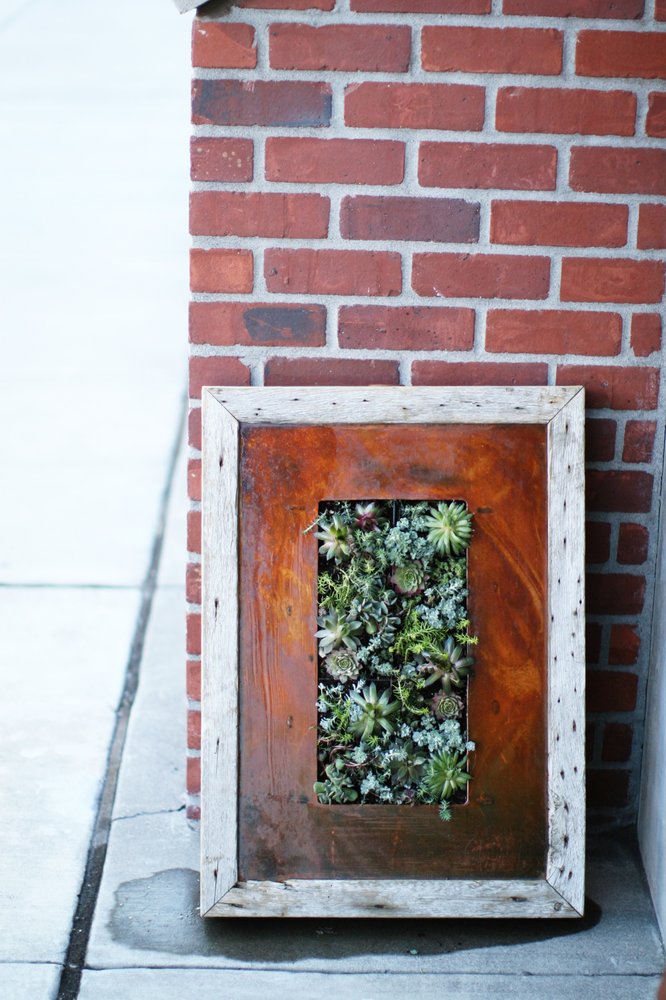 Slide of Blooming Desert Design + Build