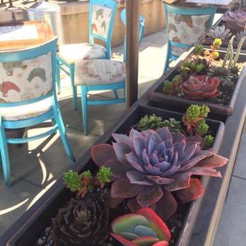 Farmer's Table - Loved the succulents lining the patio - New American Near Me - La Mesa, California Farmer's Table - Loved the succulents lining the patio - New American Near Me - La Mesa, California