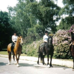 Dulwich Riding Scool