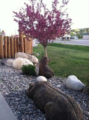 Quality Inn Red Lodge Gateway To Yellowstone by null