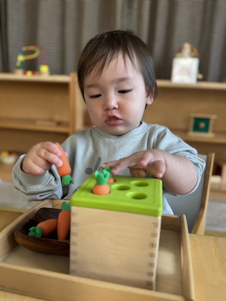 Little Explorers Montessori - childcare center in Irvine, CA