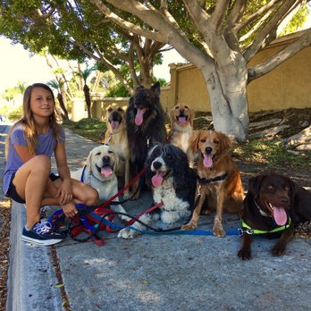 The Bark House Pet Service - Our Friday pack. Great way to end the week with a long pack walk. - Dog Walkers Near Me The Bark House Pet Service - Our Friday pack. Great way to end the week with a long pack walk. - Dog Walkers Near Me