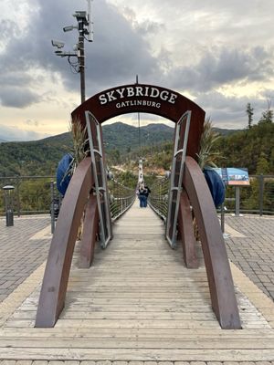 Gatlinburg SkyPark by null