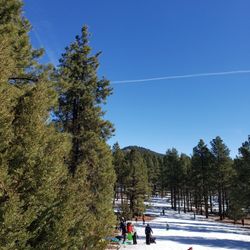 Oak Hill Snow Play Area
