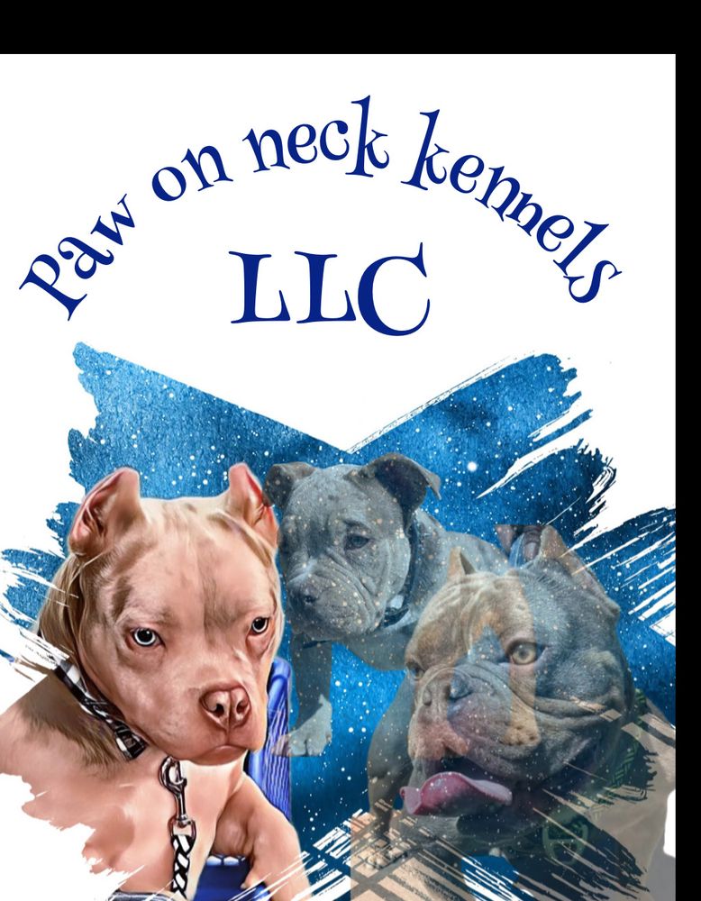 Paw On Neck Kennels - pet boarding facility in Cincinnati, OH