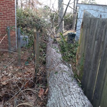Direct Cut Lawn Tree Service - Tree service and stumps - Landscaping Near Me - Manakin-sabot, Virginia Direct Cut Lawn Tree Service - Tree service and stumps - Landscaping Near Me - Manakin-sabot, Virginia