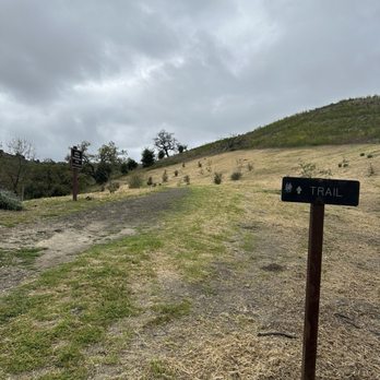 Calabasas Hidden Stairs - March 2024 - Hiking Near Me Calabasas Hidden Stairs - March 2024 - Hiking Near Me
