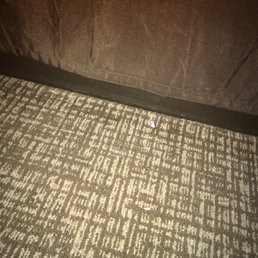 food on floor