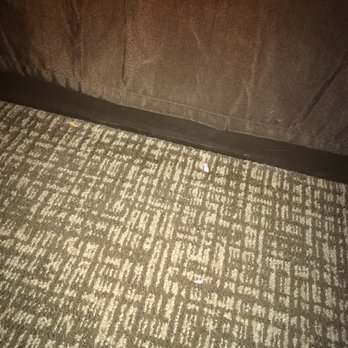 Comfort Inn Norwalk - Sandusky - food on floor - Hotels Near Me - Norwalk, Ohio