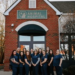 Springfield Animal Hospital