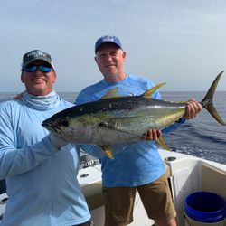 Saint Somewhere Charters - Yellowfin tuna from out Otherside Trip