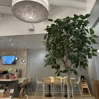 Soup Shop - Inside - Vietnamese Near Me - Irvine, California