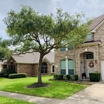 Texas Green - the front of a house with a tree in the front yard - Tree Services Near Me Texas Green - the front of a house with a tree in the front yard - Tree Services Near Me