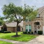 Photo of Texas Green