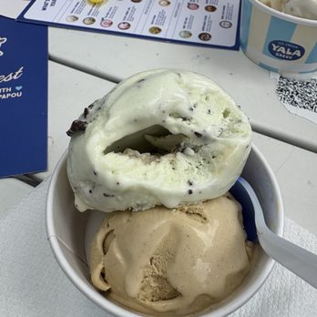 Yala Greek Ice Cream - Ice Cream & Frozen Yogurt Near Me - Washington, DC, District of Columbia Yala Greek Ice Cream - Ice Cream & Frozen Yogurt Near Me - Washington, DC, District of Columbia