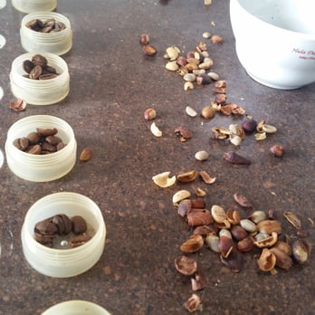Hula Daddy Kona Coffee - More roasted beans - Food Tours Near Me - Holualoa, Hawaii Hula Daddy Kona Coffee - More roasted beans - Food Tours Near Me - Holualoa, Hawaii