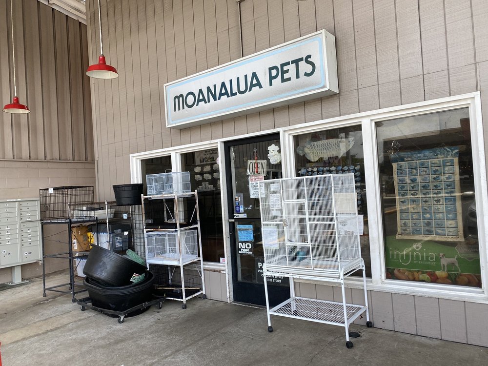 MOANALUA PETS 90 Photos & 82 Reviews 4510 Salt Lake Blvd, Honolulu
