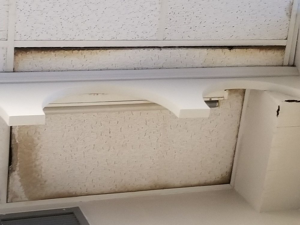 Leaning Tower Ymca Closed 56 Photos 36 Reviews Gyms 6300 W Touhy Ave Niles Il United States Phone Number