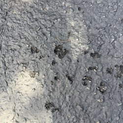 Stutz Driveway Sealing and Repair - Driveway
