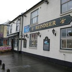 Reindeer