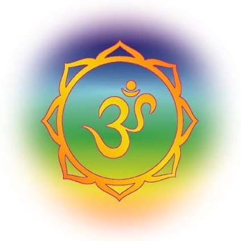Dharma's Yoga - Yoga Near Me - Santa Cruz, California Dharma's Yoga - Yoga Near Me - Santa Cruz, California