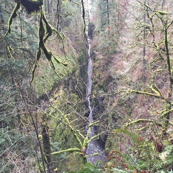 Horsetail Falls - A really kickass view of a gorge. - Hiking Near Me - Cascade Locks, Oregon Horsetail Falls - A really kickass view of a gorge. - Hiking Near Me - Cascade Locks, Oregon