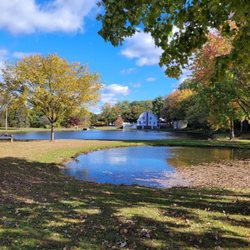 Beachland Park - The ponds