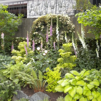 Lady Bird Gardens - Gardeners Near Me - Victoria, British Columbia Lady Bird Gardens - Gardeners Near Me - Victoria, British Columbia
