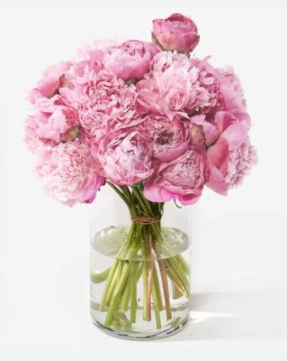 Old City Flowers by null