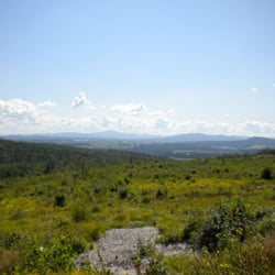 Mountain View Dairy Bed & Breakfast