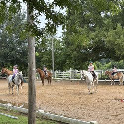 Oak View Stables