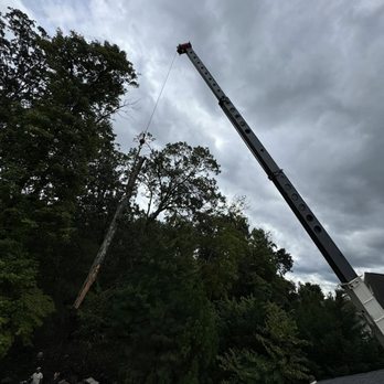 Clark's Tree Express - Tree Services Near Me - Huntersville, North Carolina Clark's Tree Express - Tree Services Near Me - Huntersville, North Carolina