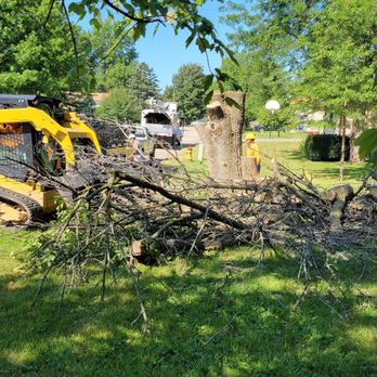 Iowa River Tree Service - Tree Services Near Me Iowa River Tree Service - Tree Services Near Me