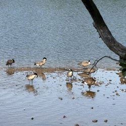 Occoquan Regional Park