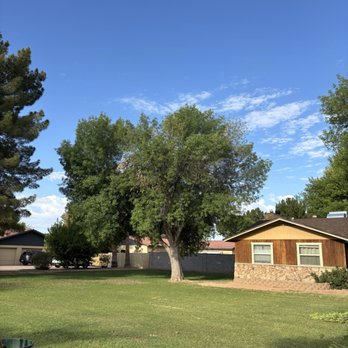 Jason's Tree Service - Before - Tree Services Near Me - Phoenix, Arizona Jason's Tree Service - Before - Tree Services Near Me - Phoenix, Arizona