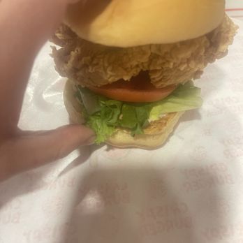 Crispy Burger - Crispy Chicken Burger - Chicken Shop Near Me - New York, New York