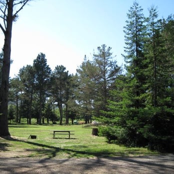 Olema Campground - view of the tent-camping areas - Campgrounds Near Me - Olema, California Olema Campground - view of the tent-camping areas - Campgrounds Near Me - Olema, California